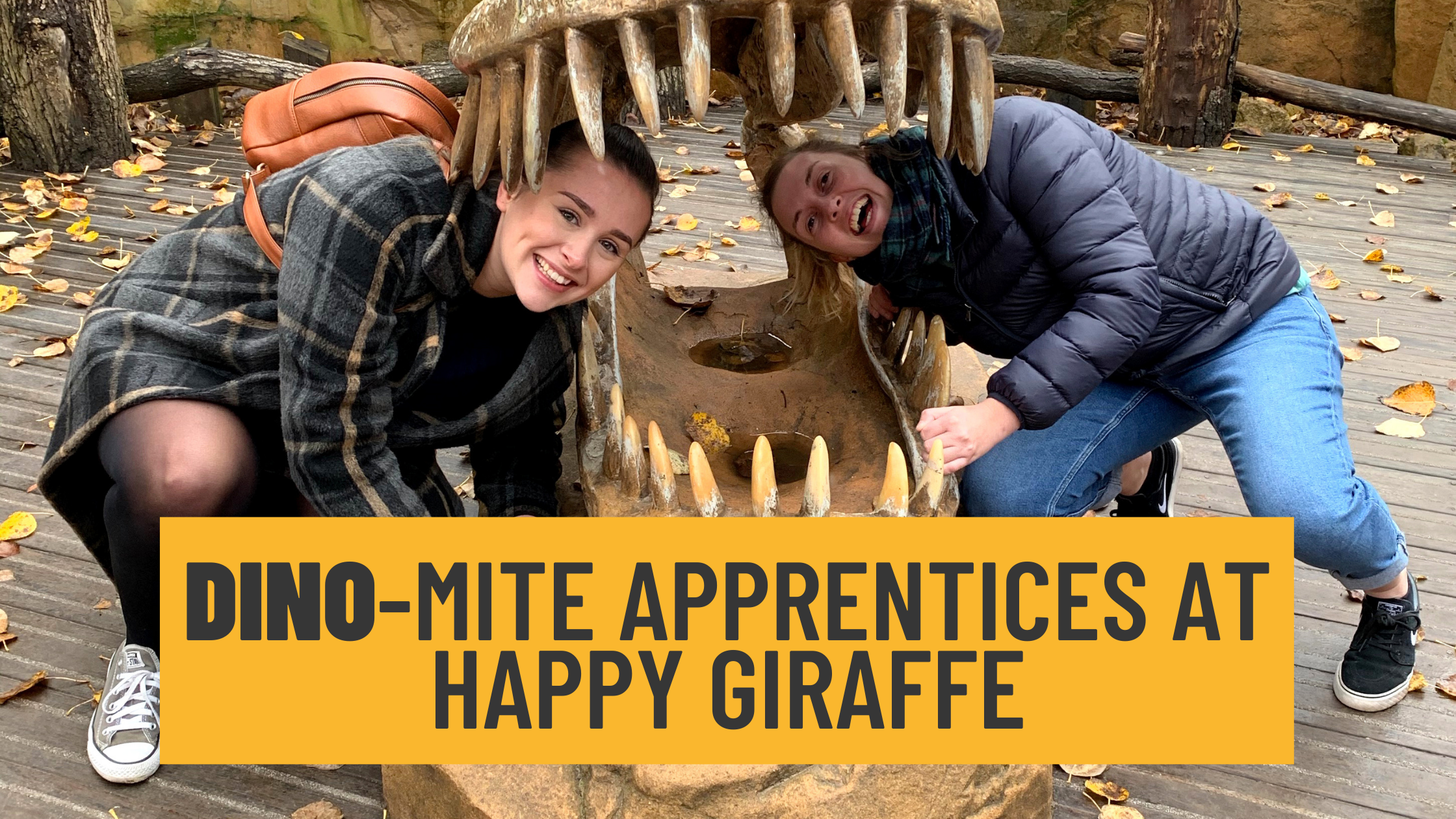 ROAR-some Apprenticeships At Happy Giraffe
